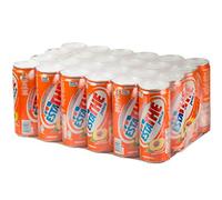 BOÎTE DE PÊCHE D'ÉTÉ 0,33 L, PAQUET DE 24 PIÈCES