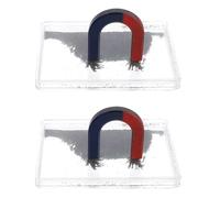 Boîte de Poudre de Fer Magnétique pour Cours de Physique Scolaire | Outil Pédagogique pour Champs et Lignes Magnétiques, Usage en Classe, Projets Stem, Éducateurs