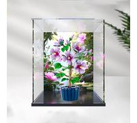 Boîte de présentation en acrylique pour bouquet d'hibiscus le-go 10372 - Vitrine imprimée florale avec cadre en alliage transparent - 30 x 20 x 40 cm - Affichage cadeau (A)