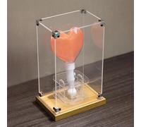 Boîte de présentation en Acrylique, vitrine en Acrylique pour bâtons Lumineux de Concert - Boîte de Rangement Anti-poussière avec Couvercle Transparent et Base en Bois, Peut contenir des obj