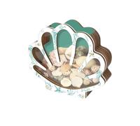 Boîte de présentation en coquillage avec panneau acrylique | Boîte de rangement décorative en forme de coquillages | Vitrine en bois | Boîte de rangement en verre de mer pour dents de requin et étoile