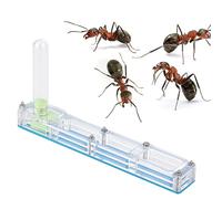 Boîte de présentation en formicarium pour nid d'élevage en Acrylique, Ferme avec système hydratant de château d'eau, Habitat léger et Compact pour Le Plaisir éducatif et (repaire Bleu)