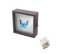 Boîte de présentation pour insectes avec fenêtre en verre | Boîte d'ombrage en bois avec planche à aiguilles en mousse et aiguilles pour présenter des papillons sur la table