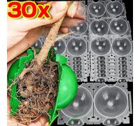 Boîte de propagation par bouturage réutilisable pour plantes, pour greffage et enracinement, fournitures de jardinage Green