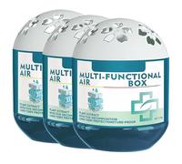 Boîte De Purification De L'air Intérieur Et De Dépoussiérage, Boîte À Air Multifonctionnelle, Fraîcheur Longue Durée, Pour La Santé De Toute La Famille, Formule À Base De Plantes (3 pcs)