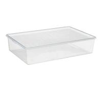 Boite de rangement - 1984 Plast Team - Bac de rangement - Transparent - Polypropylène - 55,5 cm