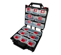 Boîte de rangement double face professionnelle avec 12 compartiments amovibles pour vis, boulons, clous et petits outils, coffret robuste et portable pour atelier, garage ou bricolage (Noir)