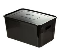 Boîte De Rangement EDANTI Plastique Conteneur Avec Poignées Couvercle 20L Noir 39x26x20,5 Cm