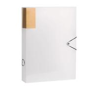 Boîte De Rangement Fichiers Format Lettre Étui D'archives En Plastique Avec Couvercle Organisateur Dossiers Boîte Classement Documents Pour Fournitures Bureau