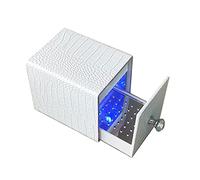 Boîte de rangement pour outils de manucure - Lumière bleue - Portable - À brancher - Pour artistes de nail art à domicile - 4 couleurs - Étui personnel pour manucure professionnelle - Pédicure