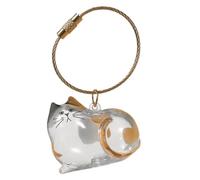 Boîte de rangement pour poils de chat, boîte de rangement portable transparente, petite boîte de rangement pour perte de poils d'animaux, voyage, utilisation à la maison, voiture, cadeau sentimental