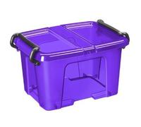 Strata Boîte de rangement petite 6 L avec couvercle papillon