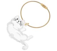 Boîte de Rangement Transparente pour Poils de Chat, Porte-clés Capsule Abs | Collecte pour Chien, Format Portable, Style Cartoon Mignon, Usage Bureau