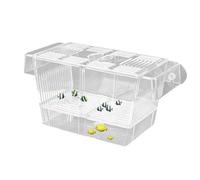 Boîte De Reproduction De Poisson - Boîte D'éleveur D'incubateur De L'écloserie Aquarium | Réservoir D'aquarium avec Aspiration | Coupe De Mesure Transparente | Boîtes D'éclosion pour Petits Poissons