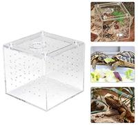 Boîte de Reproduction de Reptiles acryliques Boîte de visionnement des Insectes pour Les grillons araignées et Les escargots Hermit Crabes TarantulesAccessoires pour terrariums