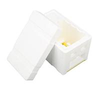 Boîte de Ruche en Mousse pour Reine des Abeilles, Mini boîte d'élevage pour l'apiculture, boîte légère et Portable en Mousse isolée avec Panneaux coulissants