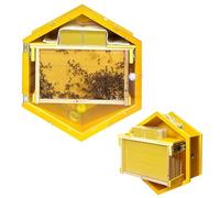 Boîte De Ruche Hexagonale avec Fenêtres D'observation, Kit Complet De Démarrage De Ruche, Élevage D'abeilles en Intérieur avec Cadres De Ruche Et Boîte À Miel en Peigne