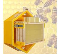 Boîte De Ruche Hexagonale avec Fenêtres D'observation, Kit Complet De Démarrage De Ruche for Un Élevage Facile D'abeilles en Intérieur, Comprend des Cadres De Ruche Et Une Boîte À Miel en Peigne