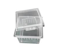 Boîte de transport pour réptiles Reptiles Planet Gris 6,8x6,8x4,5 cm