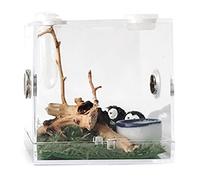 Boîte D'élevage, Boîte D'élevage De Reptiles Transparent En Acrylique, Clôture D'alimentation Portable Avec Tapis De Mousse, Racine De Rhododendron, Pince À Goutte, Bac