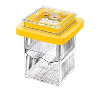 Boîte d'élevage - Boîte d'isolation 9,5 x 13 cm, sans Effort | Étui d'incubateur de Vie Aquatique en polystyrène avec Conception Transparente, Cage d'élevage de crevettes Betta pour Anima