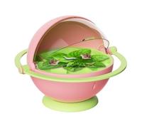 Boîte d'Élevage de à Soie, Boîte de Conteneur d'Éclosion Portable pour à Soie, Habitat de Croissance avec Design Transparent pour Maison et Salle de Classe