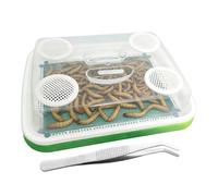 Boîte d'élevage de de Farine - Conteneur d'élevage d'insectes à 3 Couches, système de Filtre à Mailles Fines | Écran métallique Transparent PE Habitat 33x24x10cm, Conception Anti-humidité et cont
