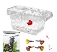 Boîte d'élevage de poissons en acrylique - Boîte d'élevage en pour bébés poissons, crevettes, poissons-clowns | Incubateur d'écloserie pour bébé poisson boîte d'isolation pour poissons Betta