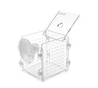 Boîte d'élevage de poissons en acrylique transparent avec ventouse pour crevettes nouveau-nés