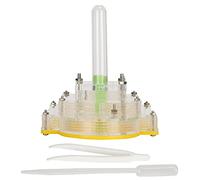 Boîte d'élevage en Acrylique, étui d'alimentation Transparent, Maison en Forme de Pyramide avec Zone d'humidification, Conception Anti-évasion pour l'éducation Scientifique et Le