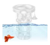 Boîte D'élevage pour Poisson - Séparateur pour Alevins - Séparateur Réglable pour Alevins Élevage Vie Aquatique Blessée Guppy Betta