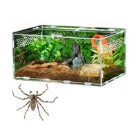 Boîte D'élevage Pour Reptiles - Baignoire Transparente Pour Animaux De Compagnie, Conteneur D'alimentation De Lézards | Coque Transparente Pour Habitat, Terrarium Pour, Mini Cage, Plateau