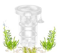 Boîte d'éleveur de Poisson pour Aquarium, boîte d'éleveur pour Aquarium, Boîte d'isolement des Poissons flottés, Diviseur réutilisable réglable à côtés à côtés pour l'usine d'acclimatation Nursery