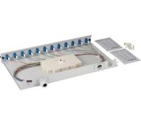 Boîte d'épissure LC 9/125µm OS2 extensible, 24 -- pigtails déportés/12 coupleurs