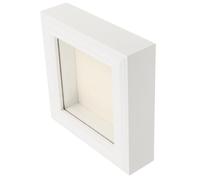 Boîte D'exposition avec Cadre pour Insectes, Fenêtre Claire, 4x4 Pouces