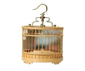 Boîte d'habitat pour Reptiles Cage à sauterelles de Type Petit Tube Droit pouvant être Suspendue for Un Transport Facile(Primary Color)