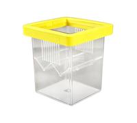 Boîte Élevage Aquarium Petit Incubateur Éclosion Flottant en Acrylique