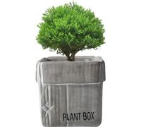 Boîte en carton créative Design Ciment Planteur Urnes, Planteur Pour Plantes d'Intérieur Fleur Succulentes Pots(Gris,10cm)