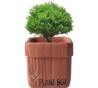 Boîte en carton créative Design Ciment Planteur Urnes, Planteur Pour Plantes d'Intérieur Fleur Succulentes Pots(Rouge,12cm)