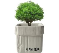 Boîte en carton créative Design Ciment Planteur Urnes, Planteur Pour Plantes d'Intérieur Fleur Succulentes Pots(Beige,10cm)