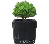 Boîte en carton créative Design Ciment Planteur Urnes, Planteur Pour Plantes d'Intérieur Fleur Succulentes Pots(Noir,12cm)