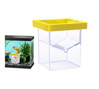 Boîte isolante pour l'élevage de poissons - Empêche les jeunes animaux de s'échapper sans effort - Design auto-flottant avec filet ventilé - Foyer pour la vie - Réservoir d'acclimatation pour