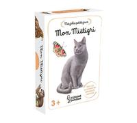 Boîte jeu mistigri - Collectif - Larousse - Boîte ou accessoire - Jeux livres objets