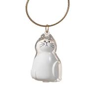 Boîte Mémoriale pour Poils d'Animaux - Contenants Petits Transparents Portatifs - Fournitures De Toilettage Pour Animaux De Compagnie Deuil Voyage Maison Voiture