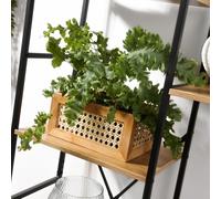 Calicosy Boîte en Bambou et Rotin Petit Modèle - H12 cm - En Bambou - Rangement - Pour Chambre, Dressing - L25 x l18 x H12 cm