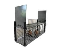 Boite piège Contre Rats Gris Noirs