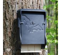 Boîte Plate Pour Chauve-Souris 1 FF