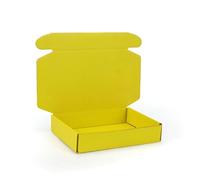 Boîte pliante épaisse en papier ondulé Triple couche, 10 pièces, emballage de couleur, étui Carton Express, vêtements cadeaux, paquet cosmétiques pour Saint-Valentin(Color3,30x20x6cm)
