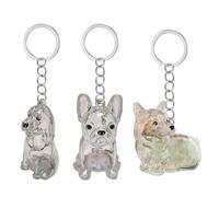 Boîte porte-clés commémorative transparente pour animaux domestiques - Boîte de rangement miniature pour les propriétaires de chiens - Design étanche - Cadeau de voyage sentimental - Décoration de