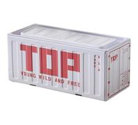 Boîte Rectangulaire avec Couvercle, Mini Boîte De Rangement en Métal pour Dragées, Cadeaux, Bonbons, Baumes À Lèvres, Décoration D'intérieur